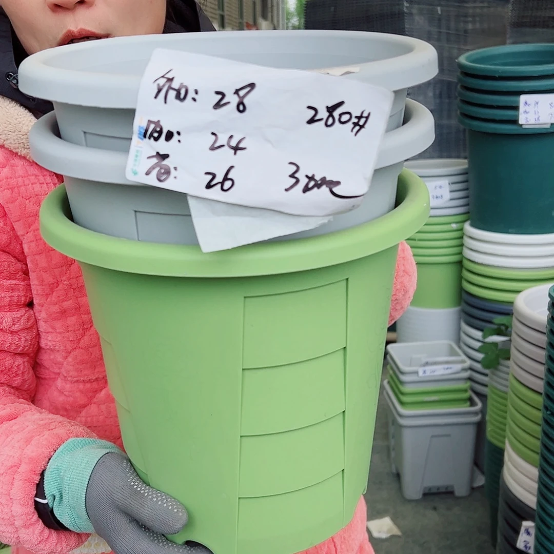 玫瑰280#灰白色5个无托