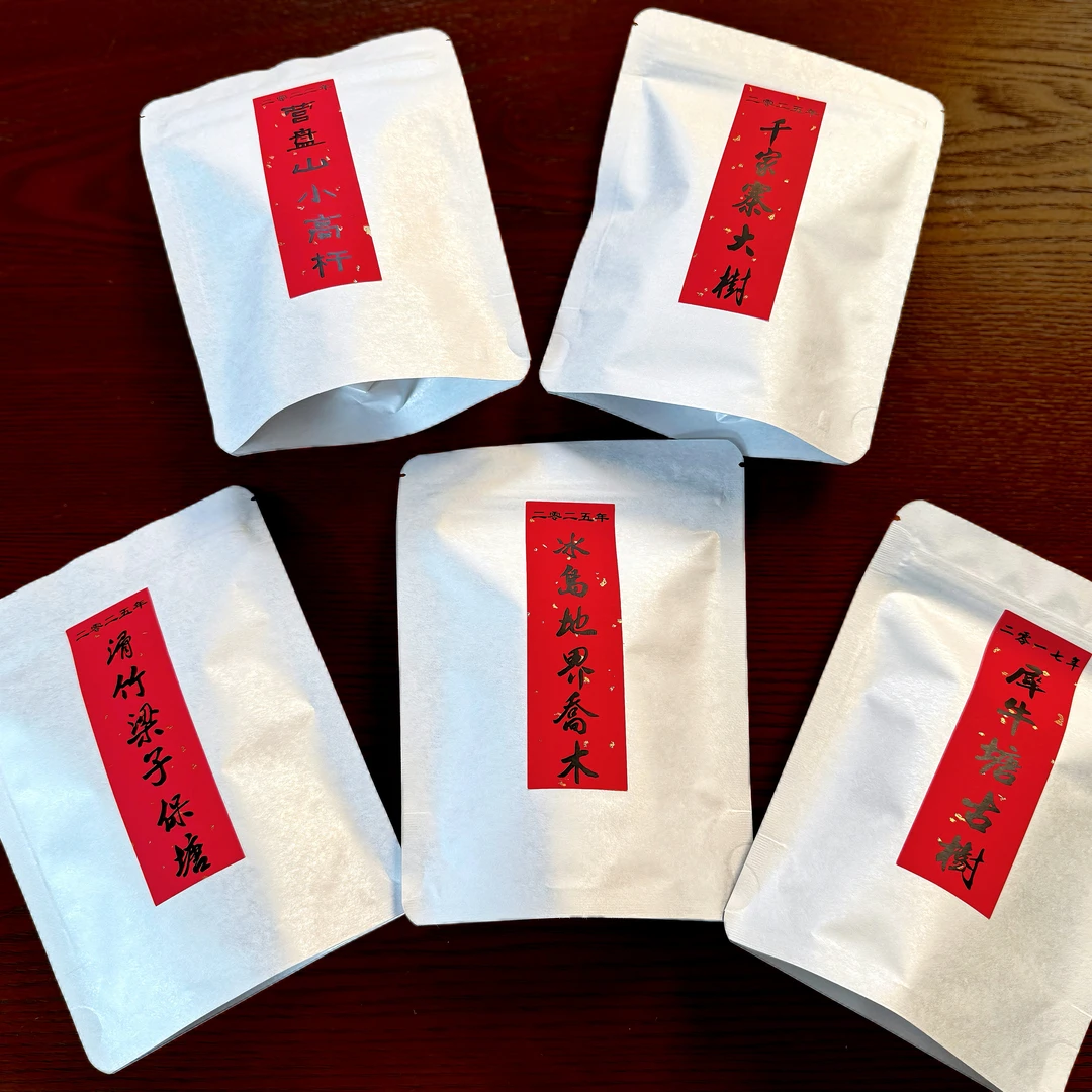 新人见面礼2025春茶山头茶品鉴装  好茶合集  50g（每份10g/共5份）