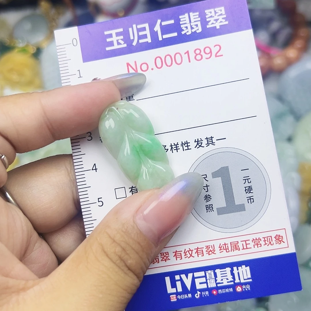 翡翠未镶嵌吊坠(不含链)Was