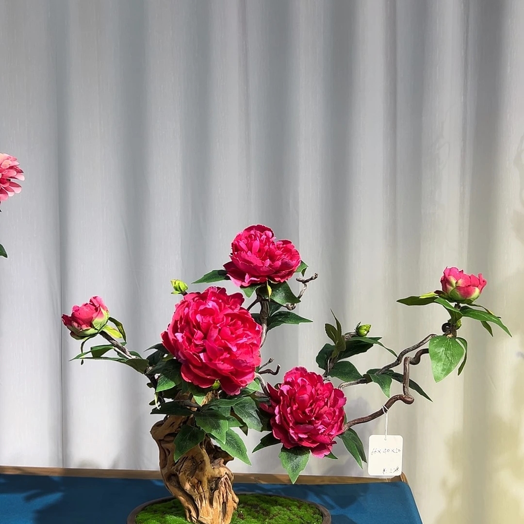 仿真花真根一物一拍