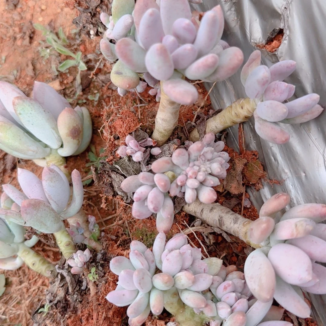 在这条路中我们能找到更适合