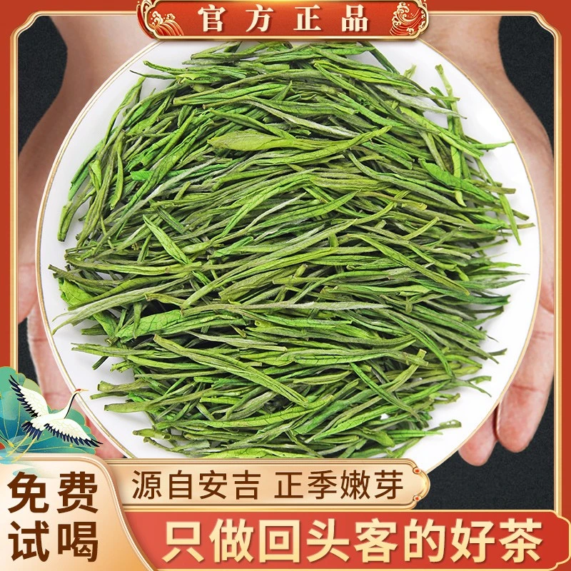 2025新茶正宗安吉白茶嫩芽高山绿茶春茶浓香型散装礼品送礼茶叶
