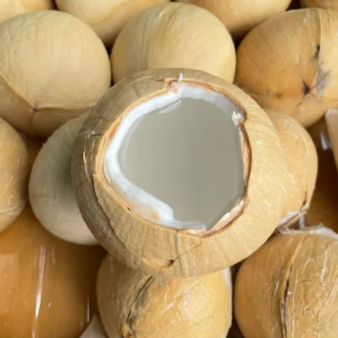 老树椰皇/椰青一个约400克