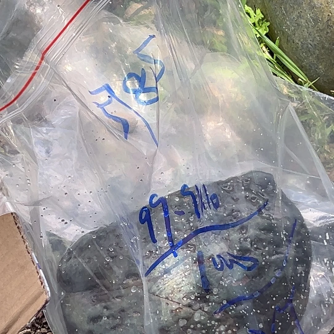 蛇纹石玉未镶嵌珠宝奇石山**人
