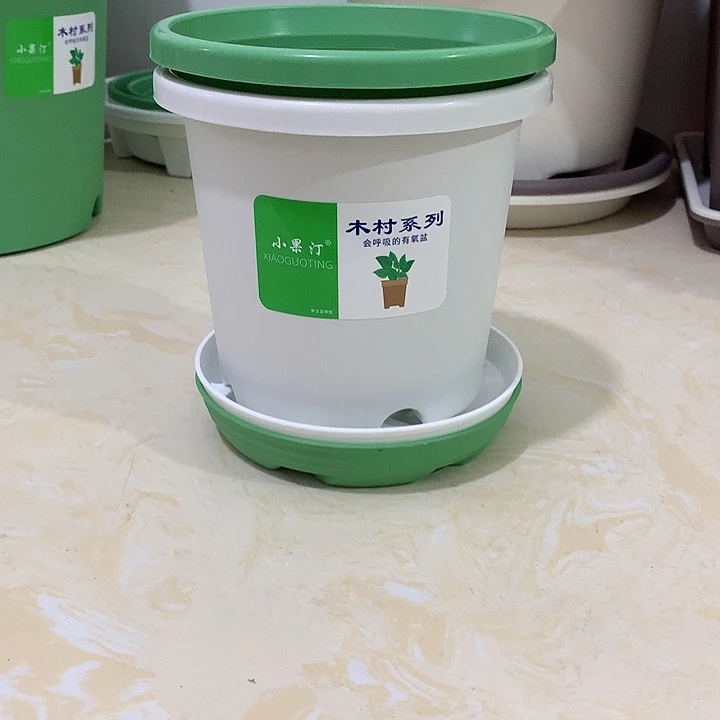 小果汀15口混色10个带托