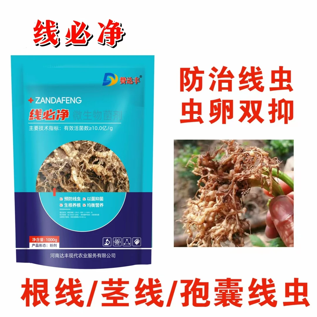 线必净微生物菌剂 根结线虫专用 虫卵双刹 持效期久 生物制剂