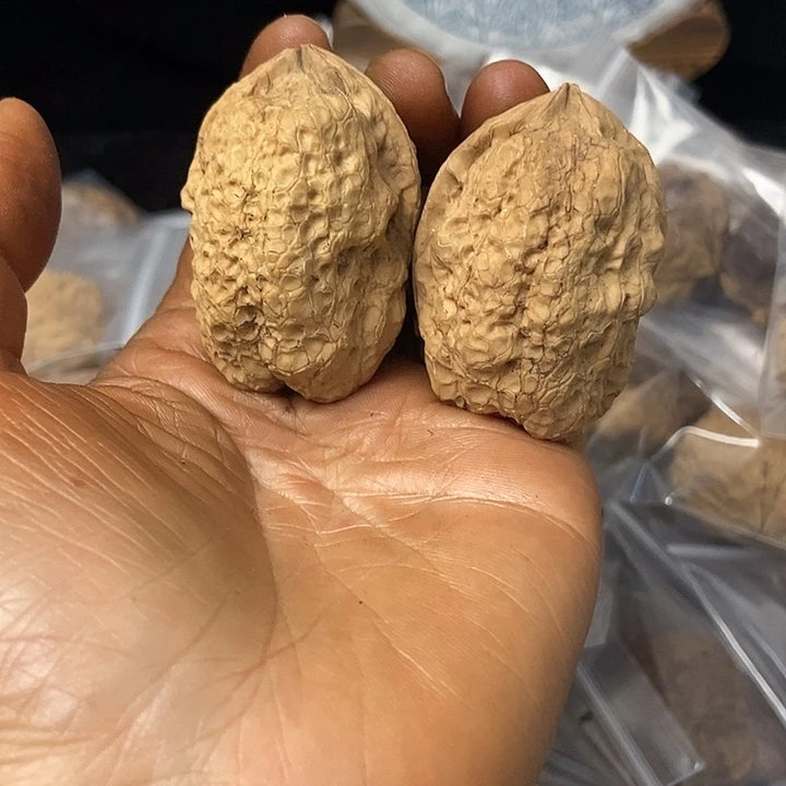 把件文玩核桃云南铁核桃基地28