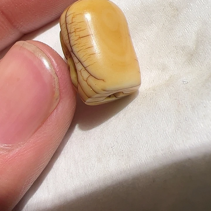 香榧木在家了一个小时