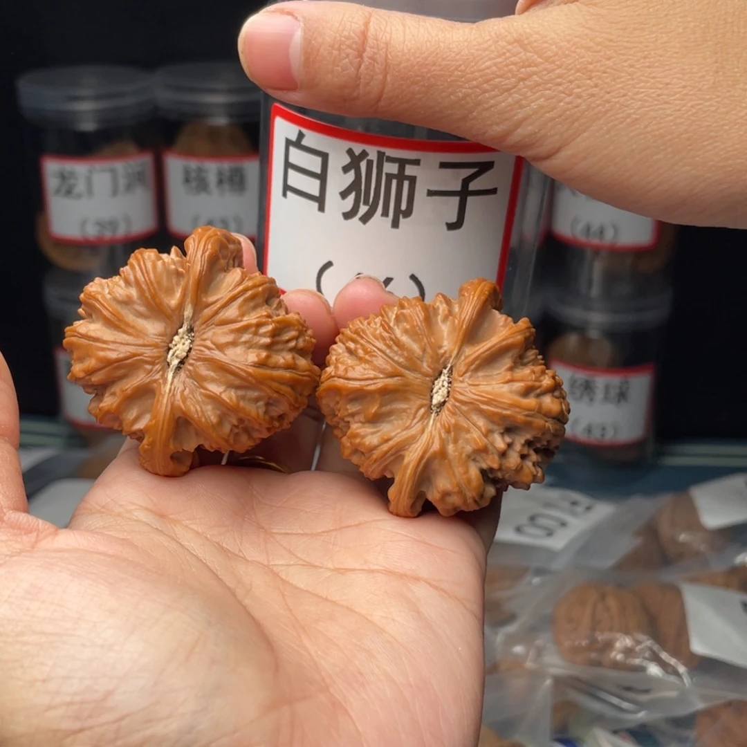 文玩核桃把件人**年45.5白师子