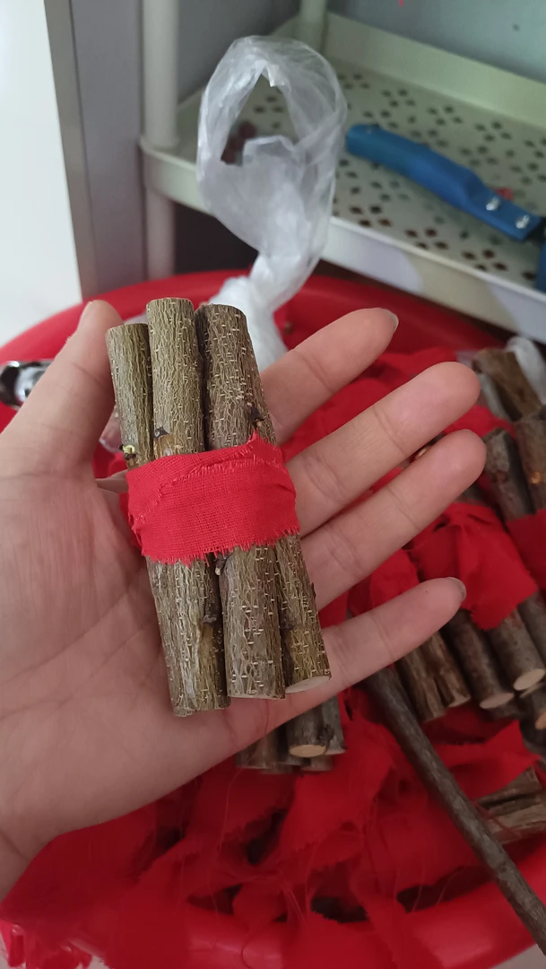 沂蒙山野生桃木东南枝