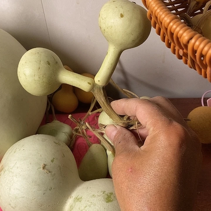 苦***华青皮腰子葫芦手把件