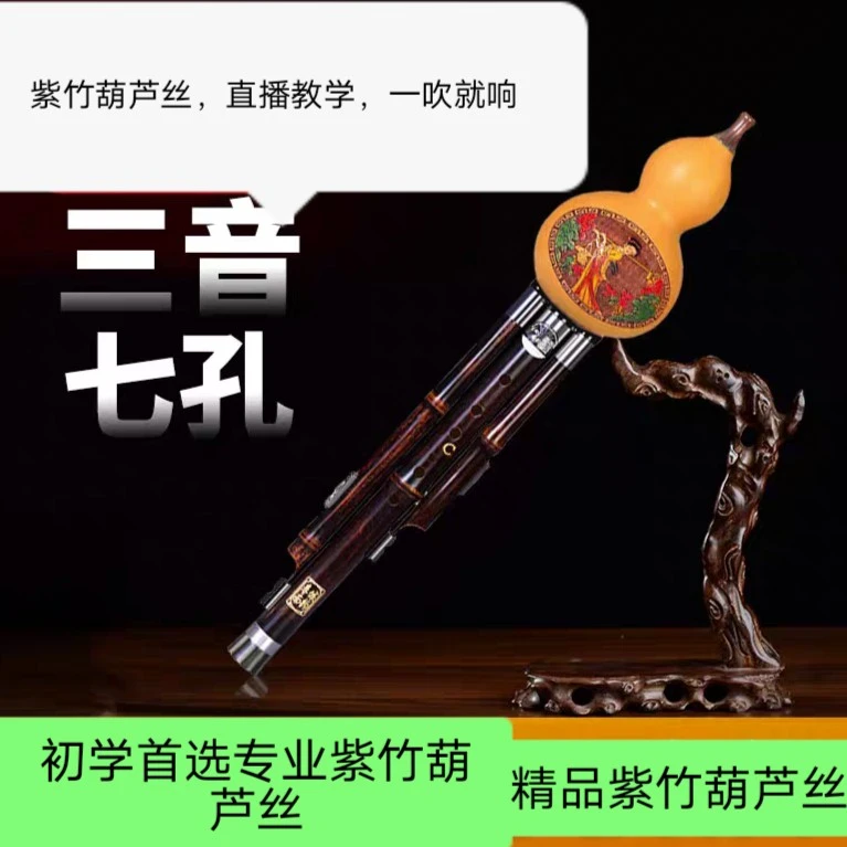 F调紫竹葫芦丝乐器专业演奏学生成人初学适用