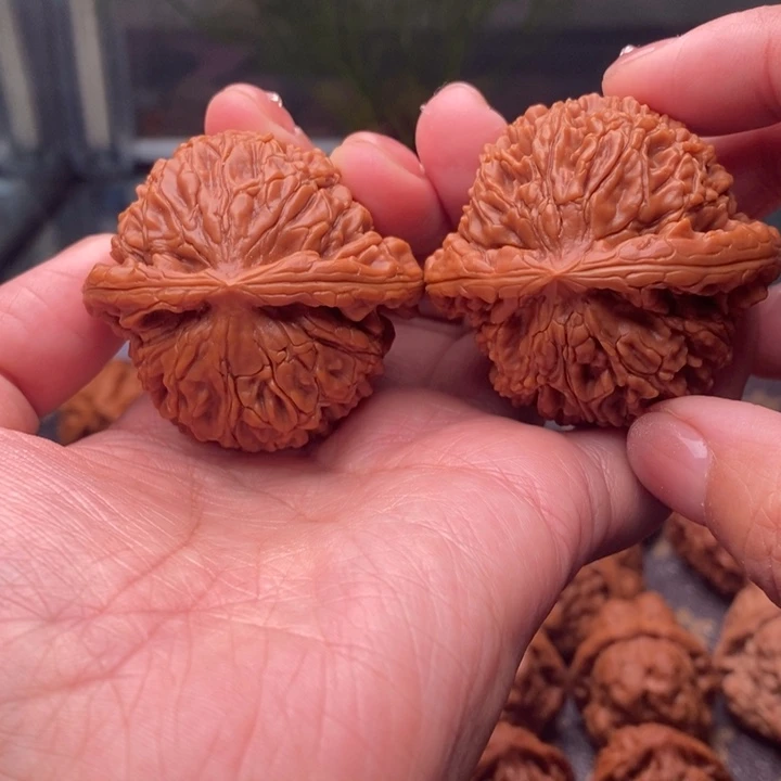 把件文玩核桃49水龙纹