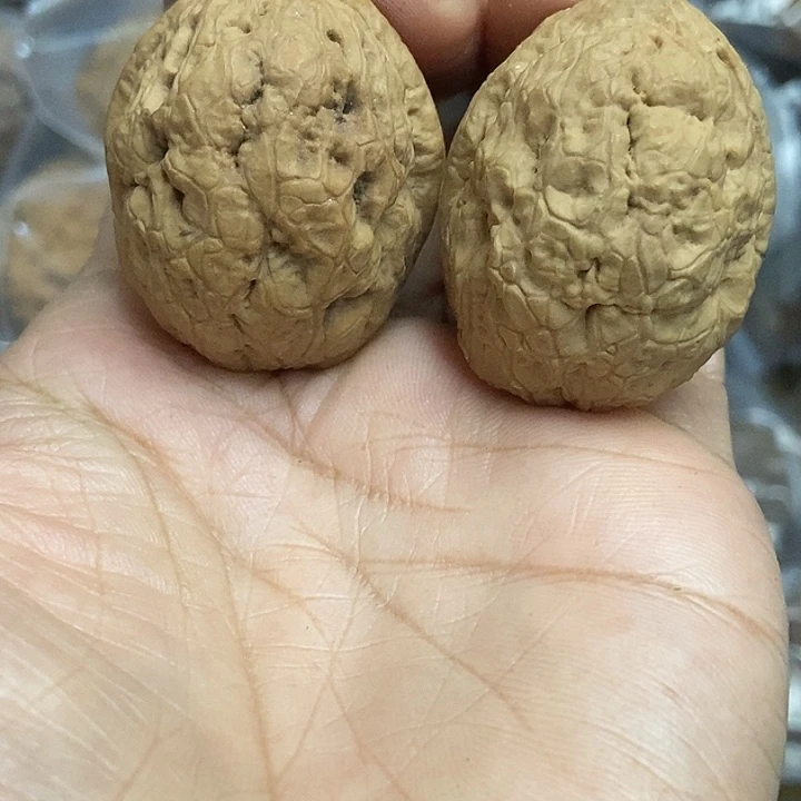 把件文玩核桃云南铁核桃基地72