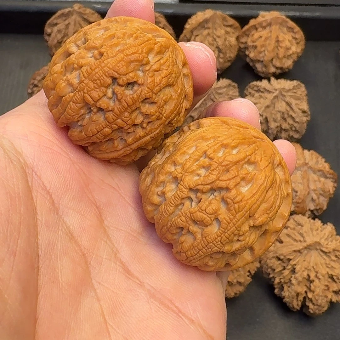 核桃突突突突突突突突突突突突突突