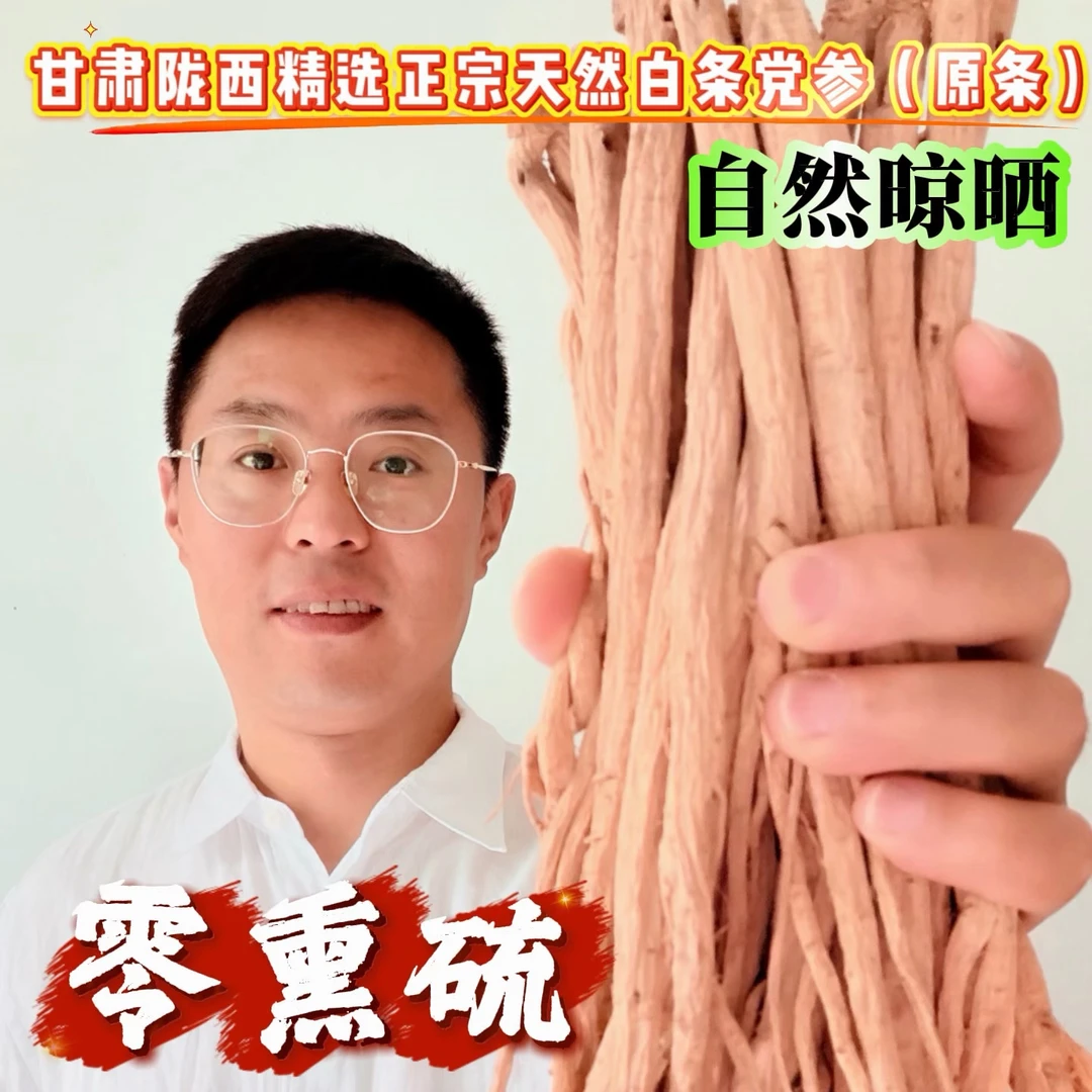 甘肃陇西精选正宗天然白条党参500g（原条无熏硫）