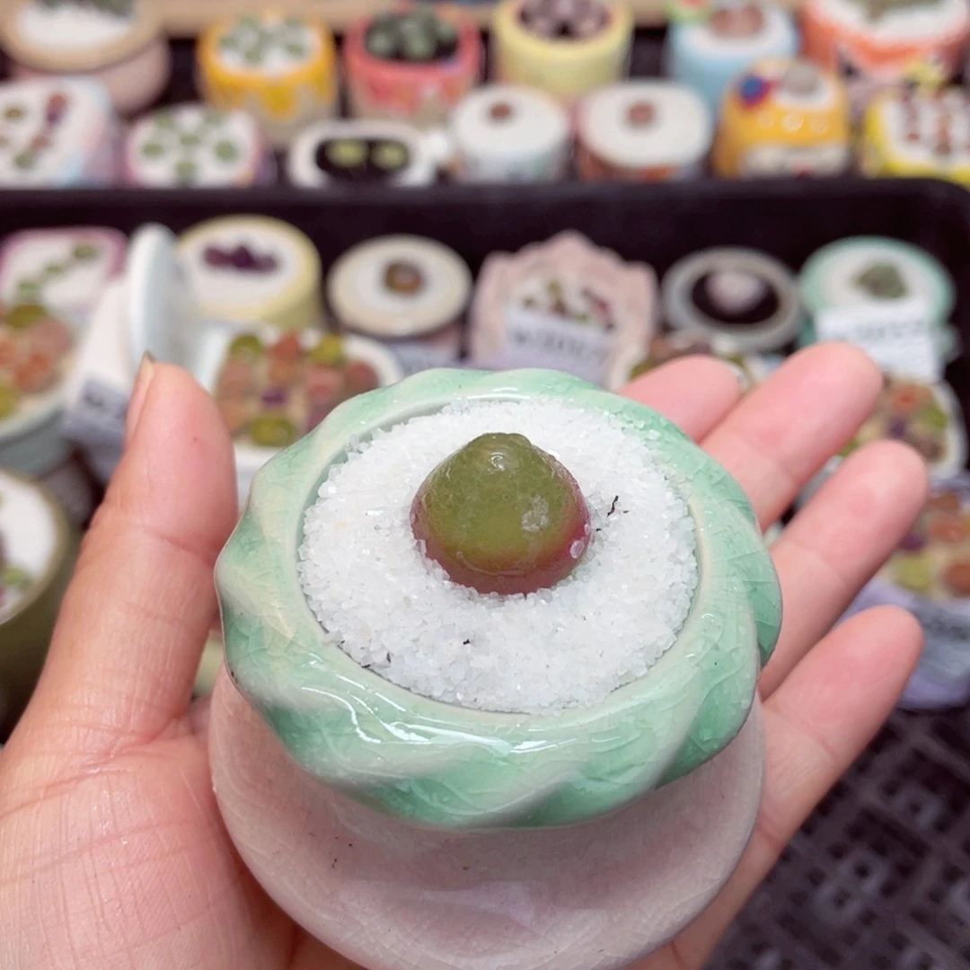 w3071 -零下地区拍保温箱-15支持寄养