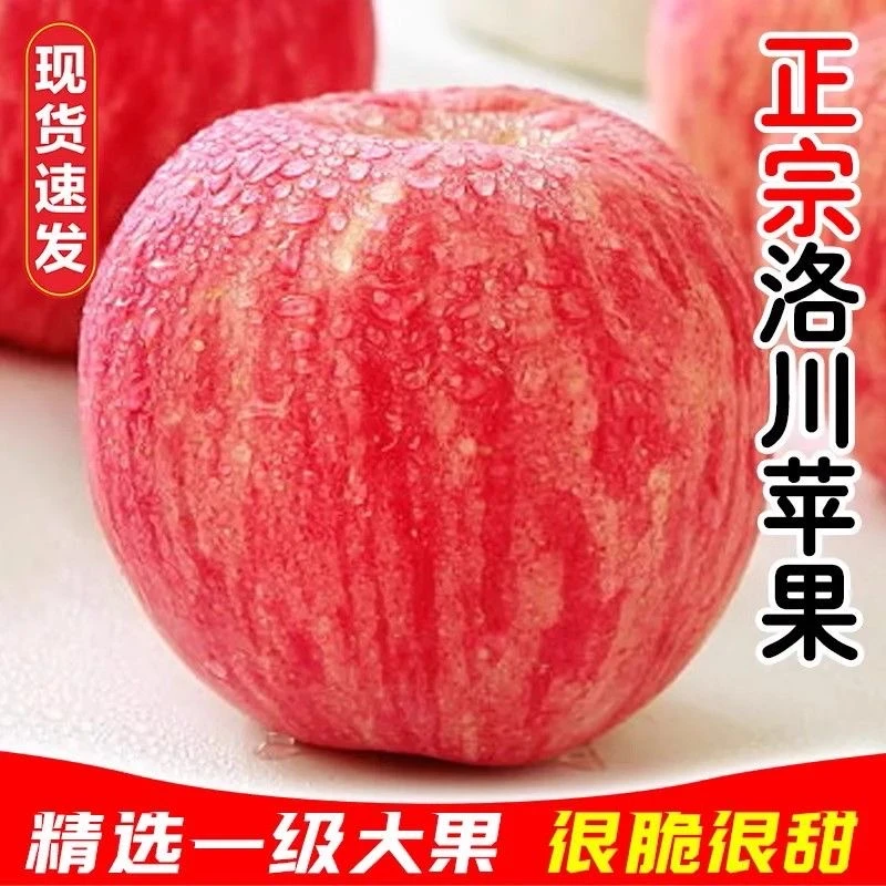 【正宗洛川苹果】2025年新果洛川红富士苹果脆甜多汁孕妇带箱5-10DD