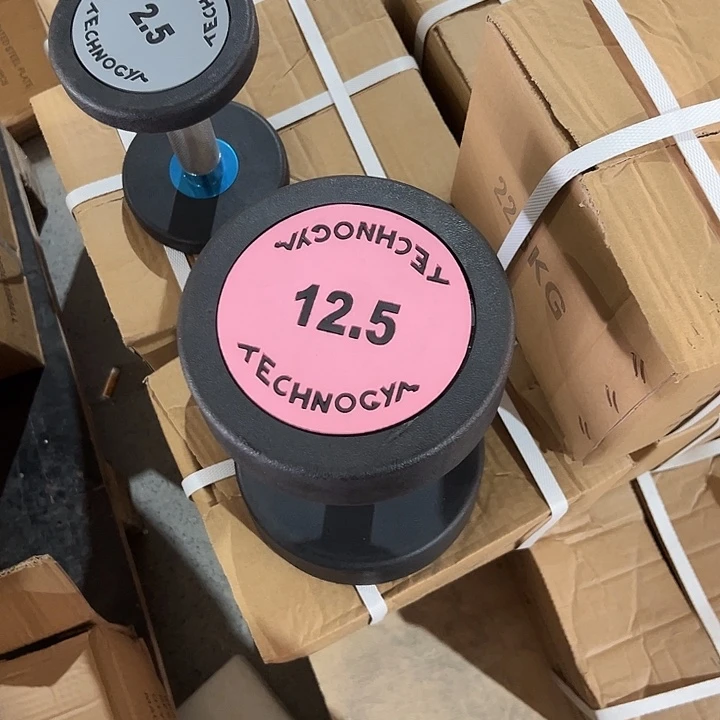 全新纯钢泰诺哑铃12.5公斤一对粉色