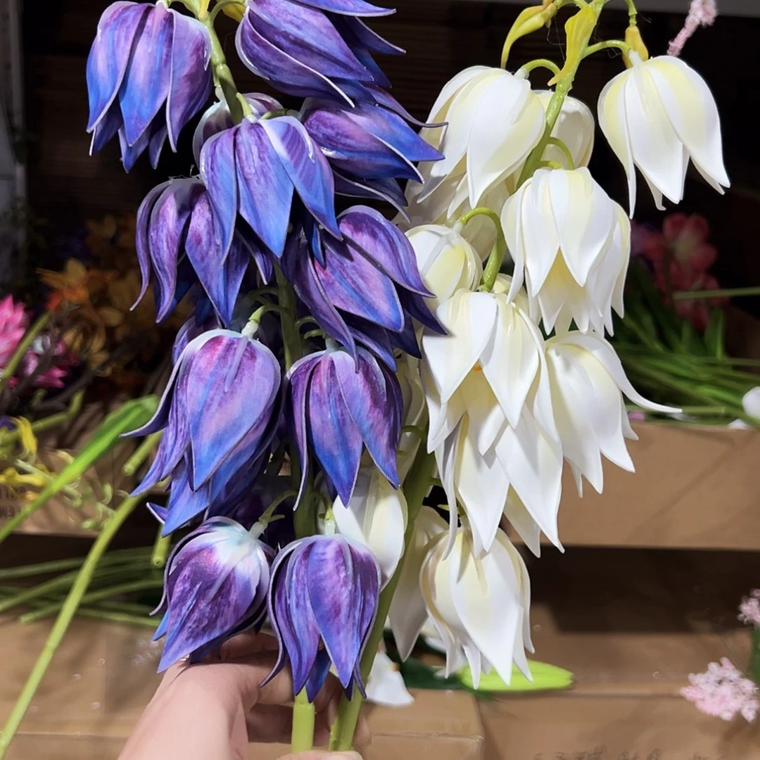 2枝混色香草风铃花。
