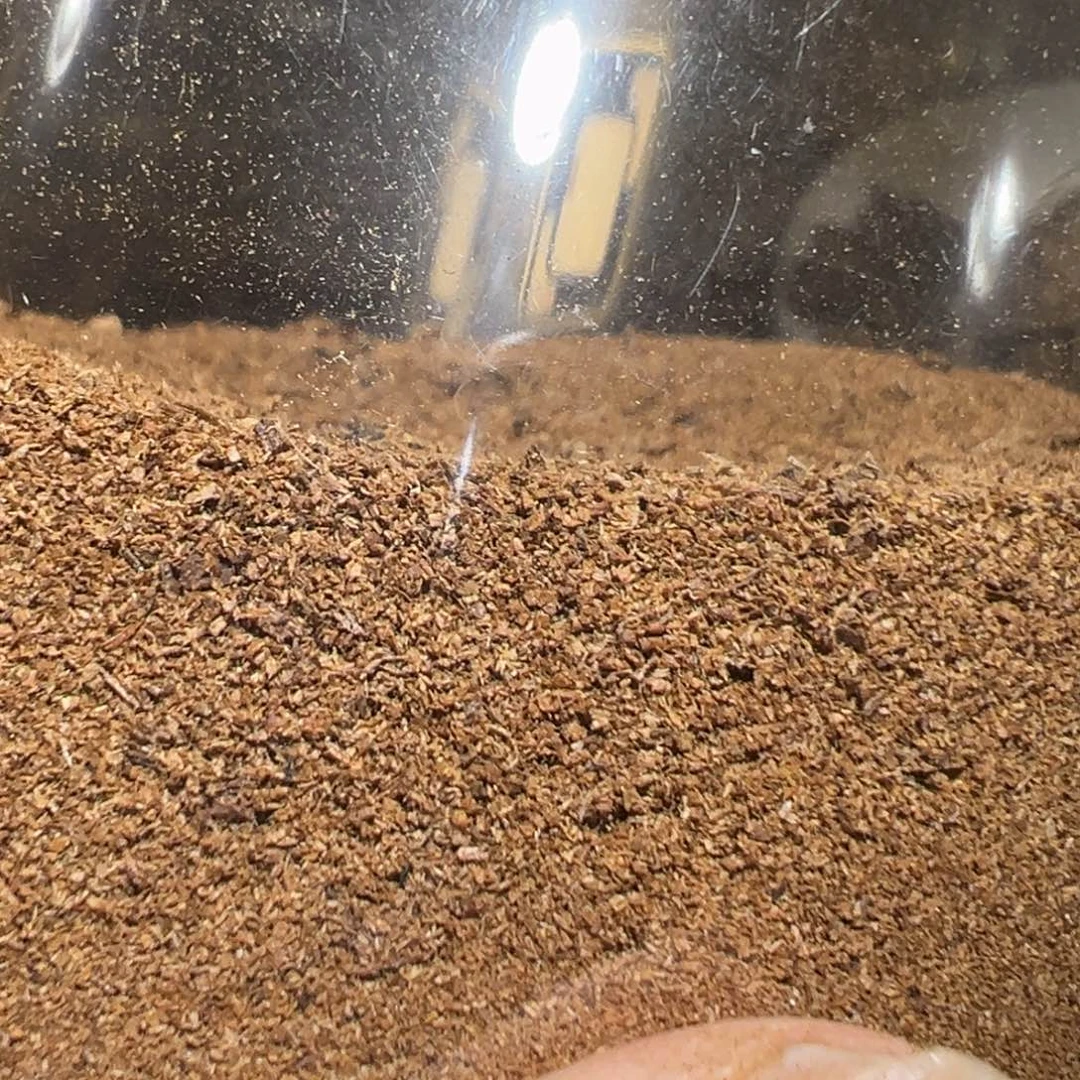 沉香沉香碎屑莱特二代半10克