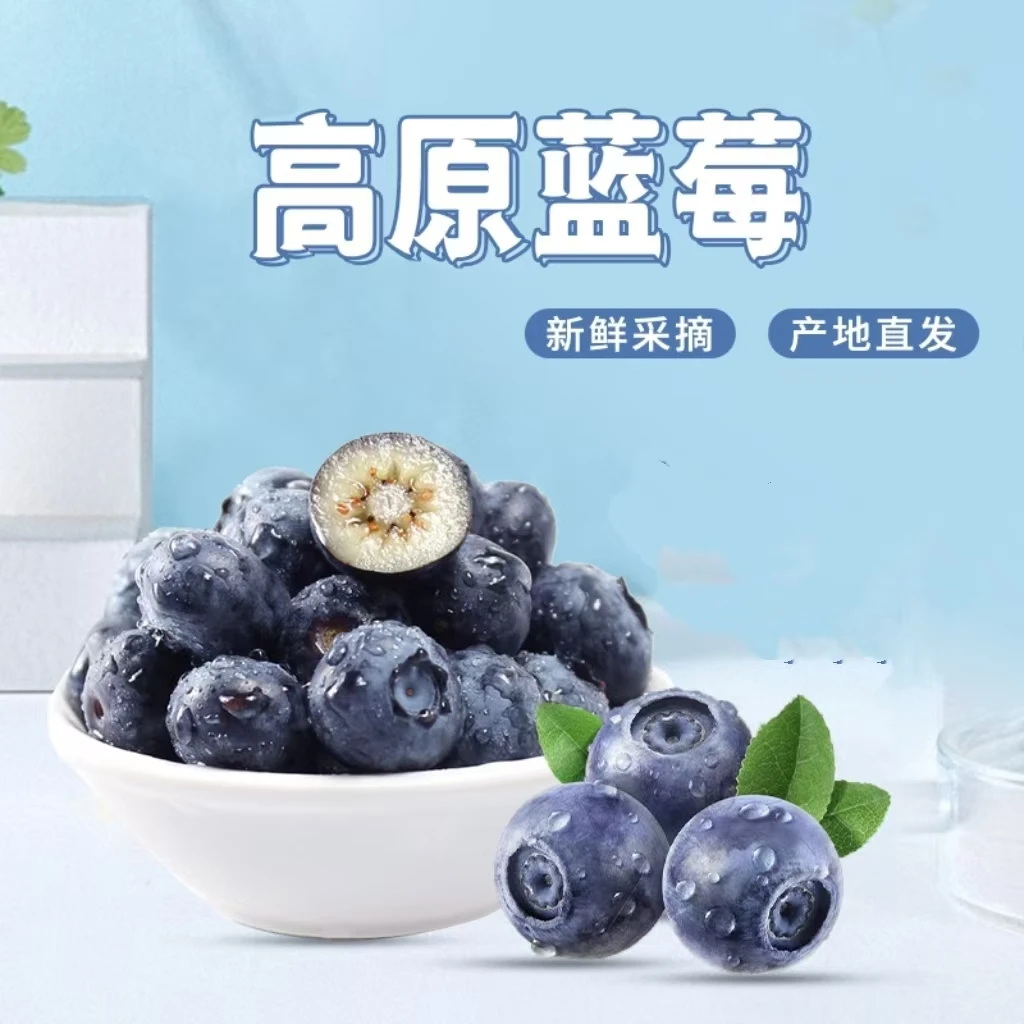 【空运发货】高原蓝花香莓鲜果花青素新鲜水果现摘产地直发AD