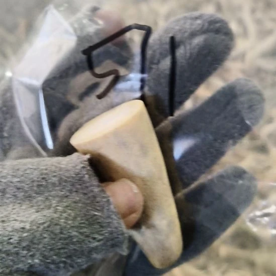 麦***师鹿角鹿角鹿角鹿角鹿角鹿角