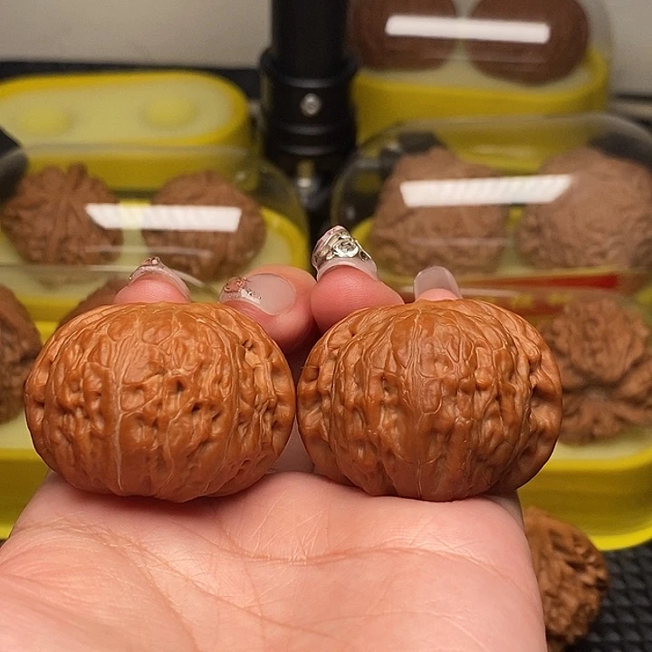 风***程41全品铁锤