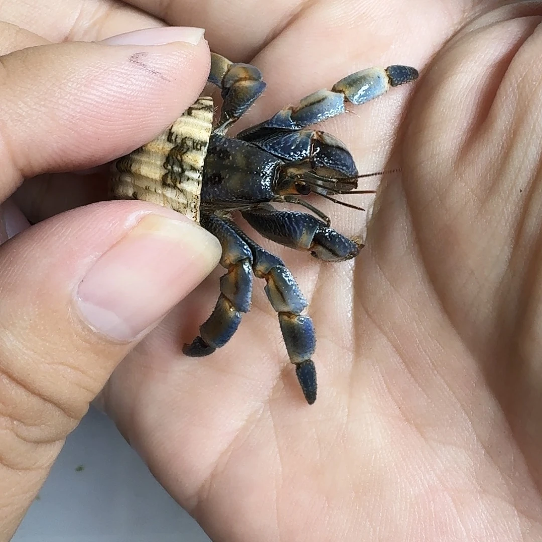 收货录完整开箱视频，售后凭证