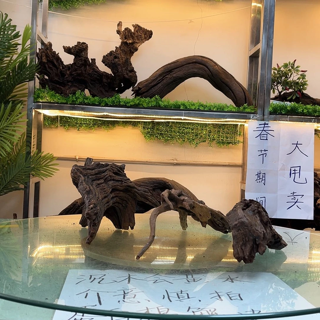 柚木沉木鱼缸造景