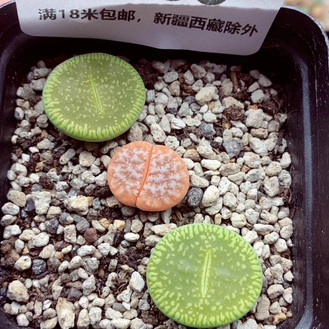 6680。