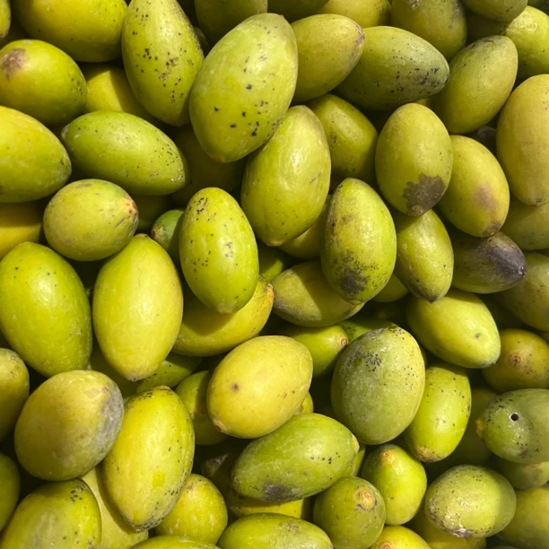 潮汕本地老树小花皮凌峰橄榄新鲜采摘生吃煲汤泡酒甘香回