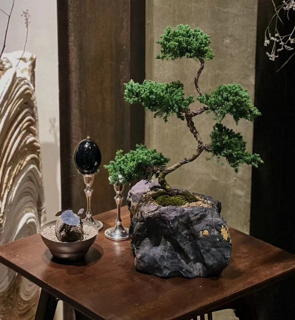 【直播专链1】灵璧石花盆鱼缸造景石景观石