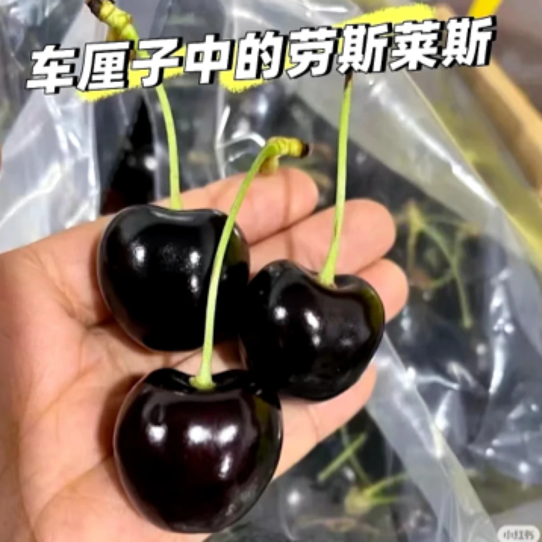 空运货带花科迪亚2JJD车厘子一箱5斤装(原箱)