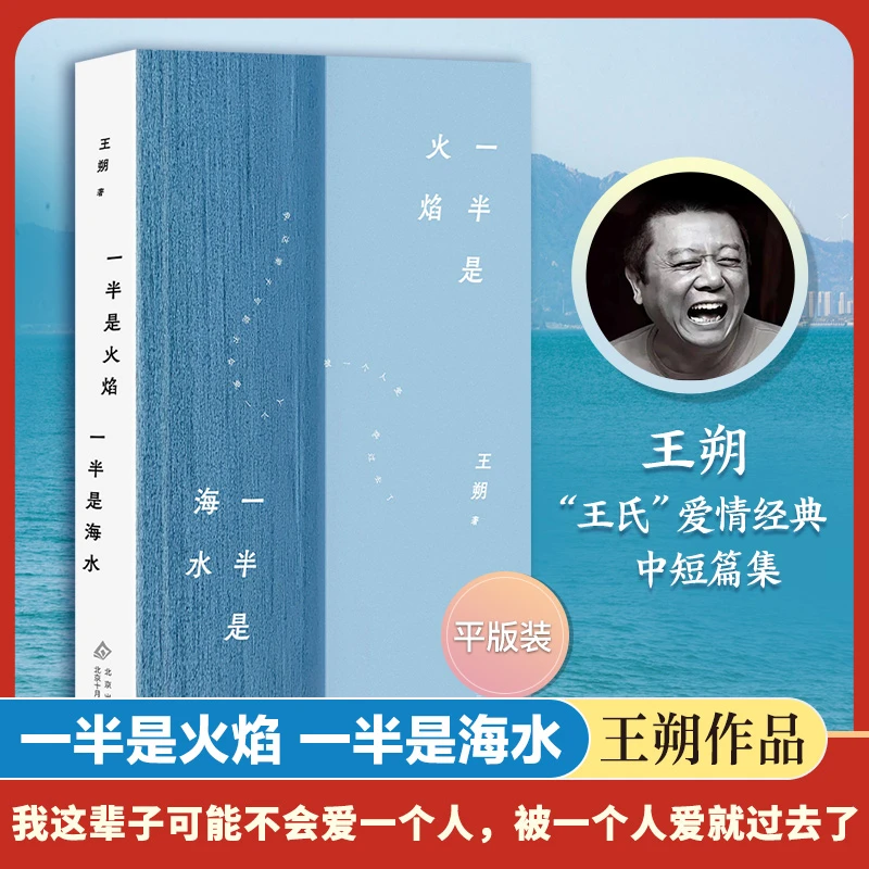 王朔：一半是火焰 一半是海水（2024年平装）