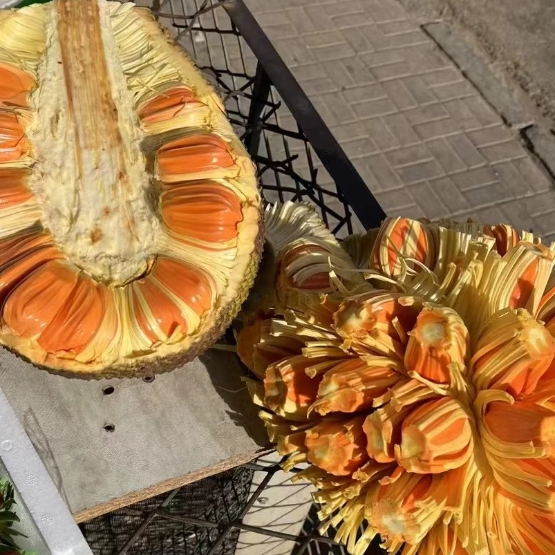 好吃的印尼红肉菠萝蜜一颗10斤左右