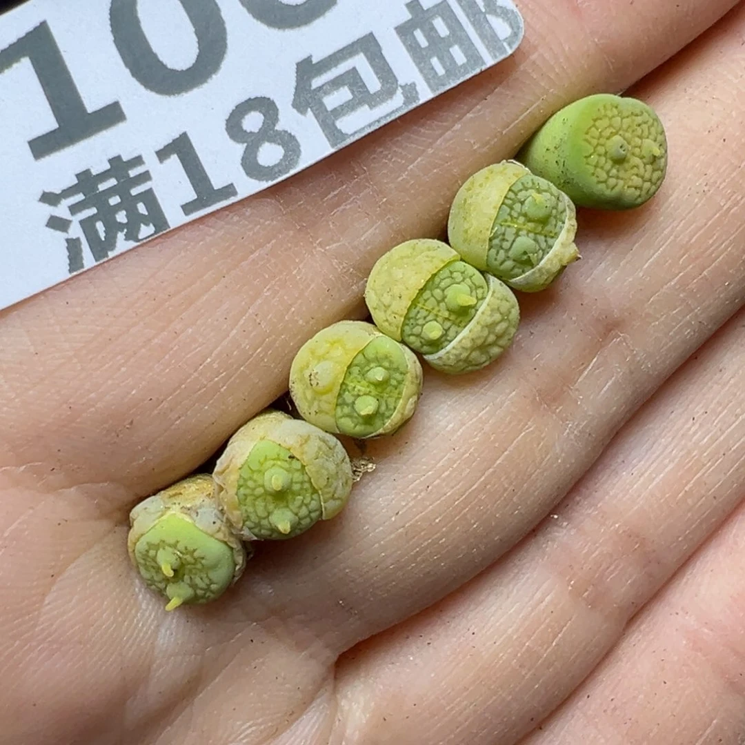 【闪购商品】106…….