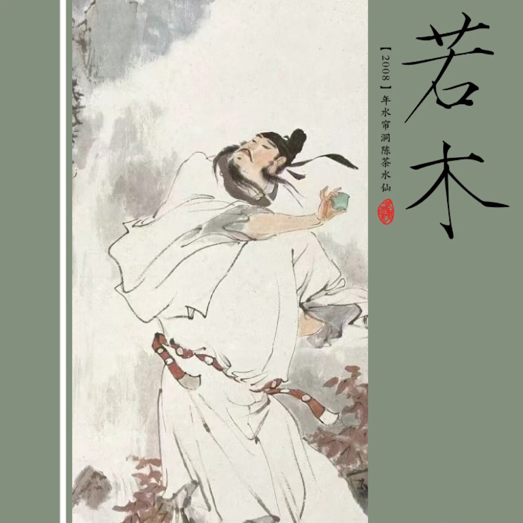 【若木】武夷岩茶高端玩家喝的正岩山场水帘洞08年陈水仙 礼盒装