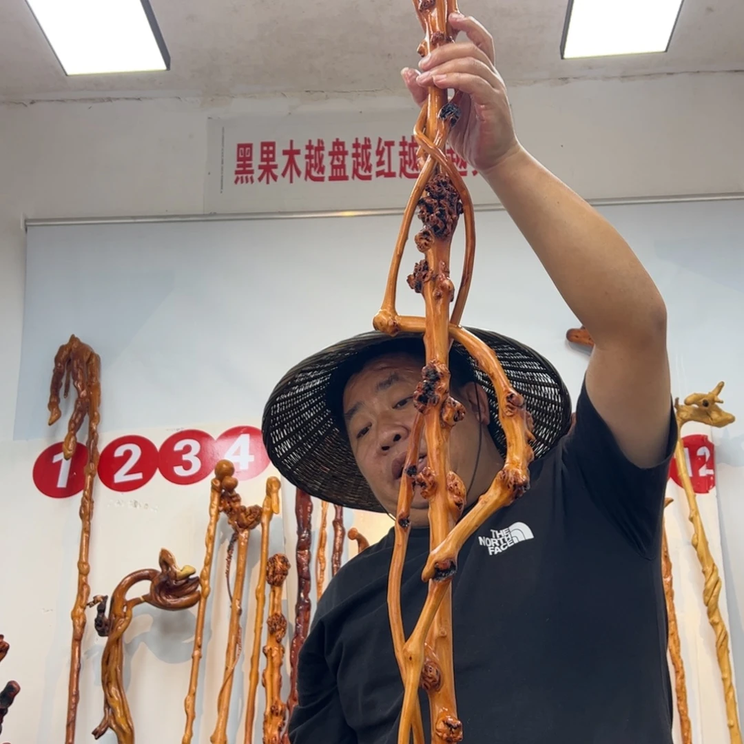 待***宾黑果木其他黑果木726