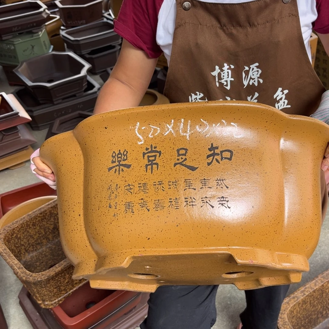 花盆紫砂盆景艺术