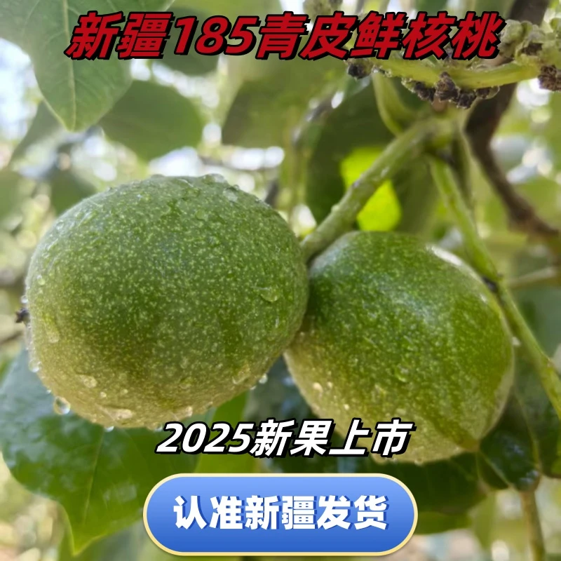 2025新疆阿克苏现摘青皮核桃185纸皮湿核桃5斤绿皮当季现摘鲜核桃