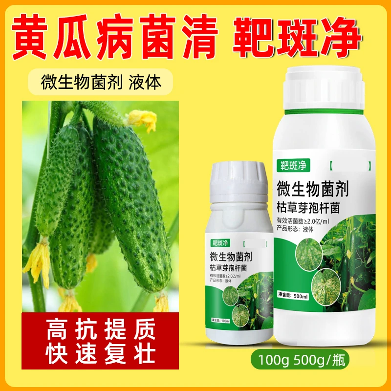黄瓜正品黄瓜黄点叶斑炭疽灰霉斑枯病霜霉病黄瓜靶斑净病菌清正品