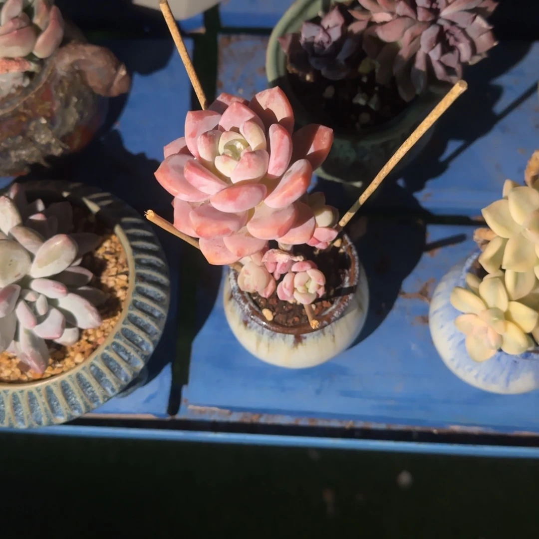 福利待遇等都将得到