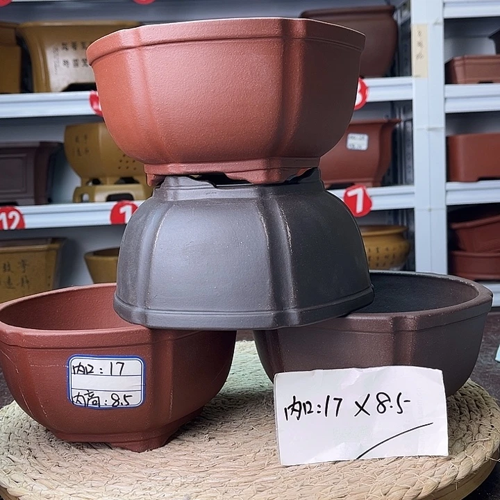 花盆紫砂你在一起