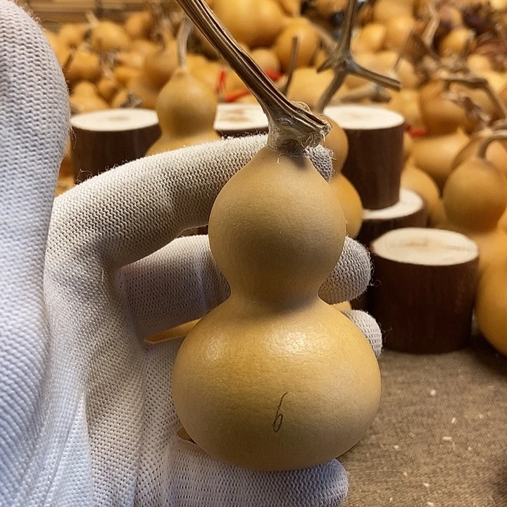 文玩葫芦 完美主义者 慎拍6