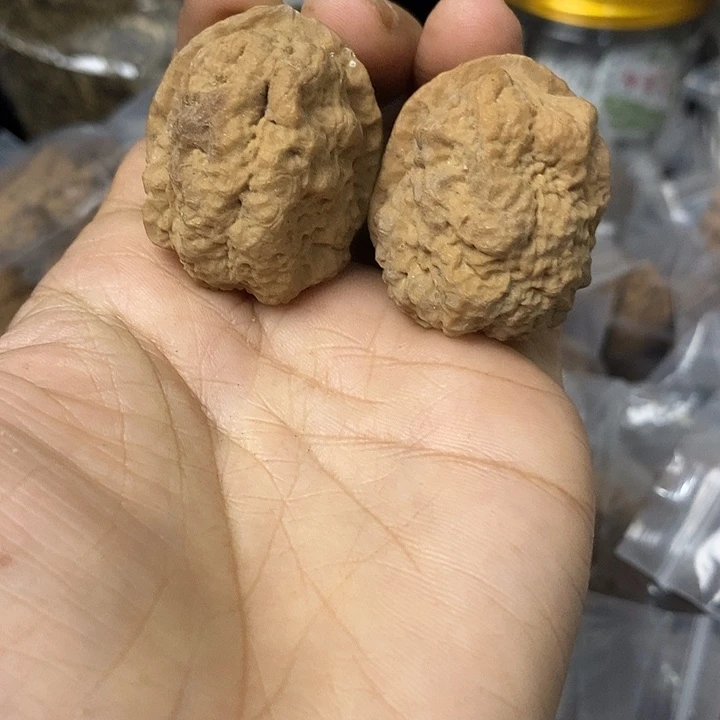 核桃云南铁核桃基地81