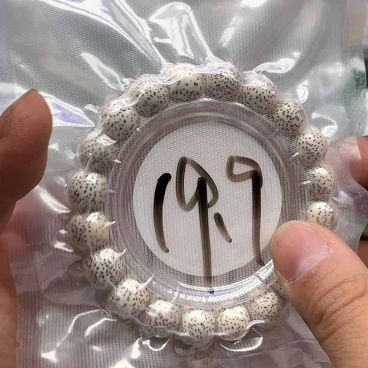 星月菩提把件星月