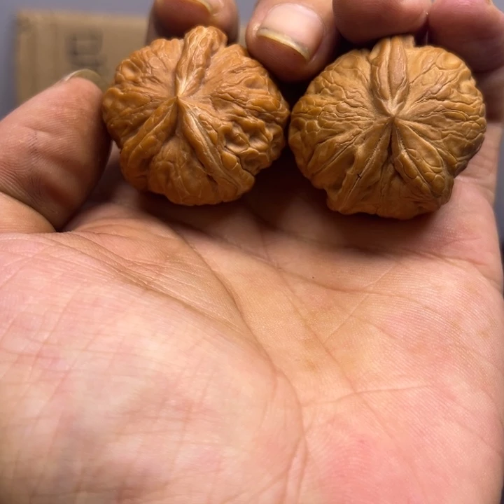 林***ᯐ菩提籽类元宝三棱马虎对儿