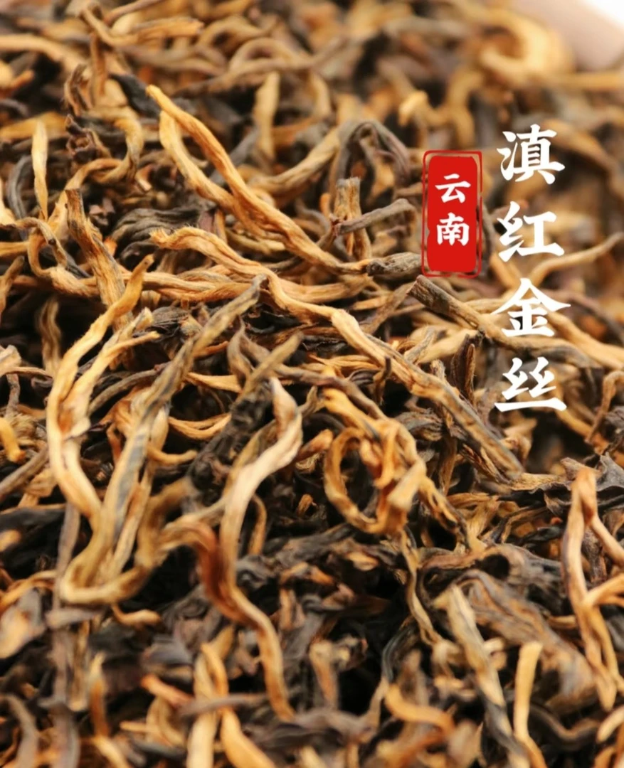 云南凤庆古树滇红糯香金丝芽头肥硕香气高长口感醇厚