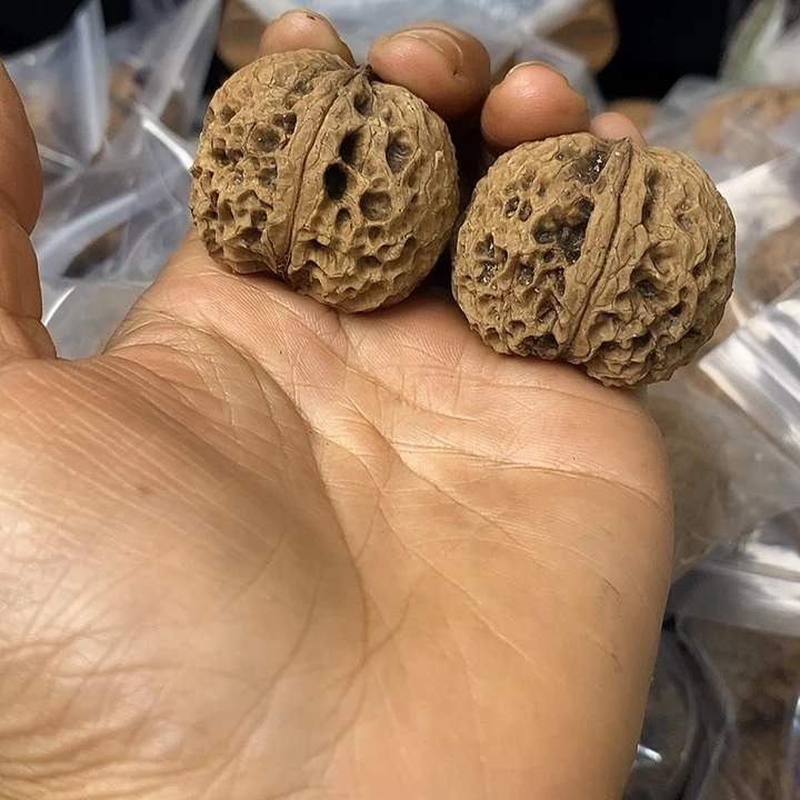 核桃云南铁核桃基地48